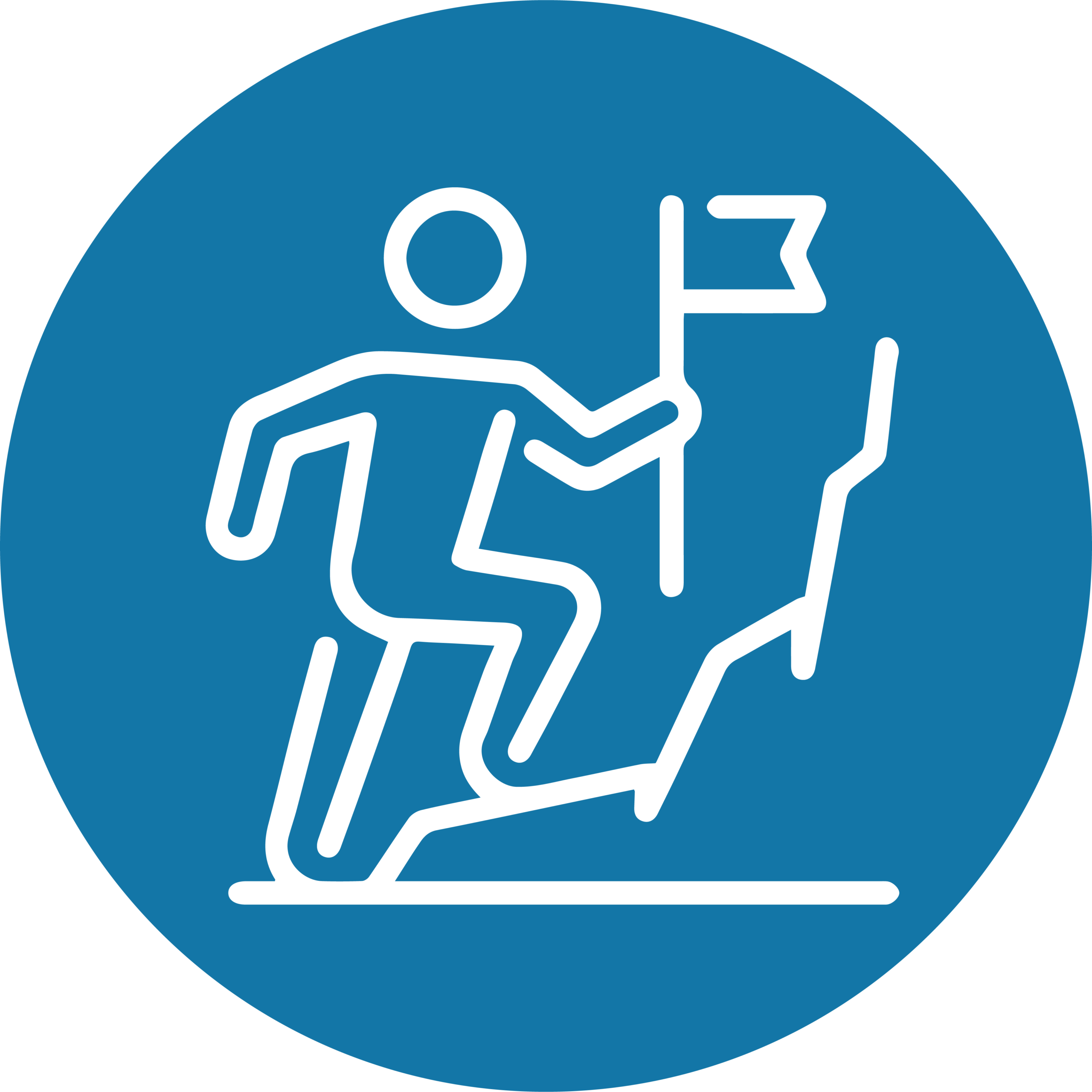 BBGG_Icon Suite_Mission blue circle Mission Icon