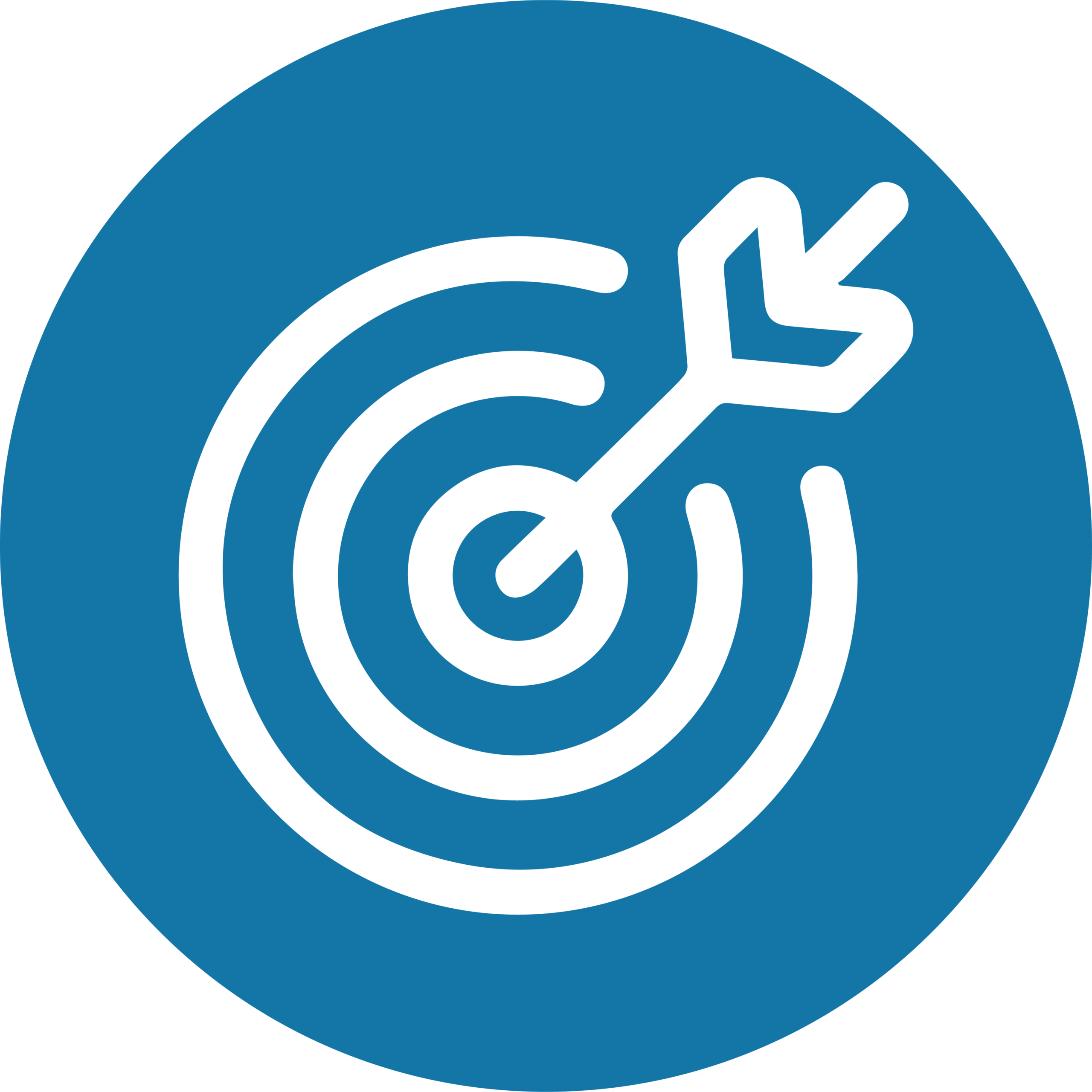 BBGG_Icon Suite_Purpose blue circle Purpose Icon